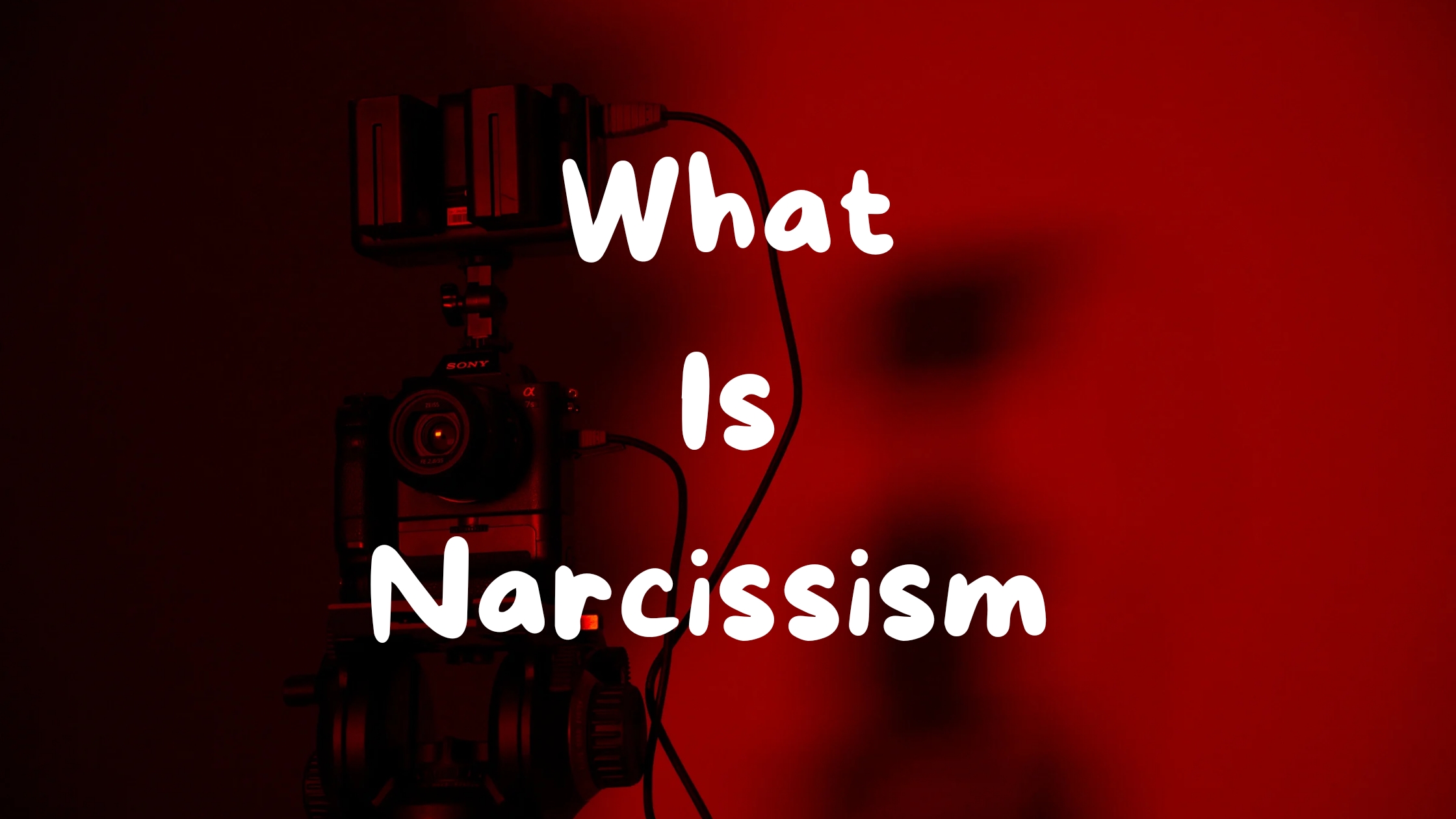 What is Narcissism